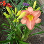 Dsc01619