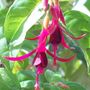 Picture_206