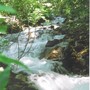 Creek
