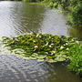 Gar23_005