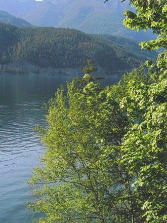 View from the deck at my parents' cabin