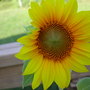 July72008_005