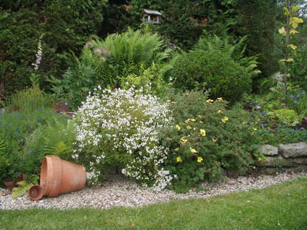 the ex rockery in June