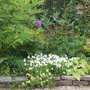 June_garden_007