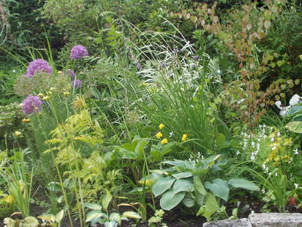 still space for more plants