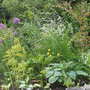 June_garden_010