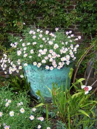 Sissinghurst Gardens - Kent