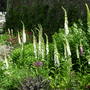 Dscn1747