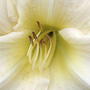 2008-07-09_011cool_it
