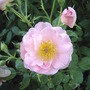 2008-07-10_006