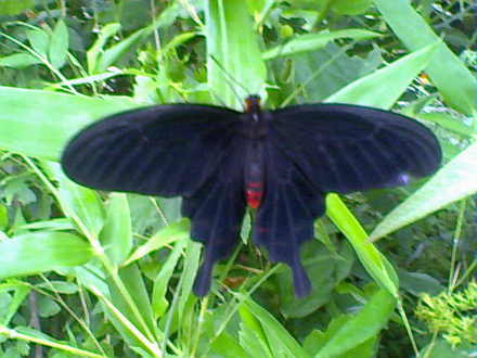 13-05-07_104526.jpg