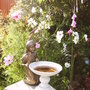 Birdbath