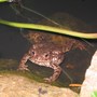 Gar24_012