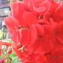 sfgsep07_013.jpg