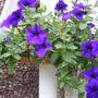 12th_july_011