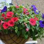 12th_july_012