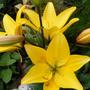 12th_july_009