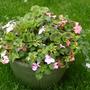 12th_july_017