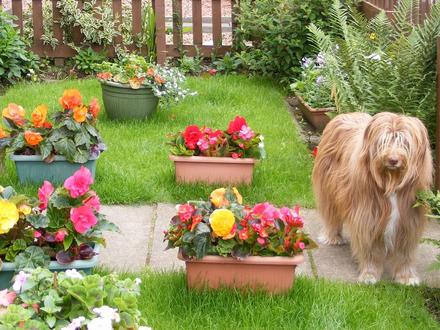 Bea in the front garden 