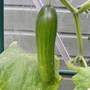 12th_july_003