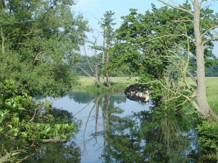 River Stour at Dedham