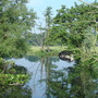 River Stour at Dedham