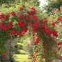 July_12th_2008_041