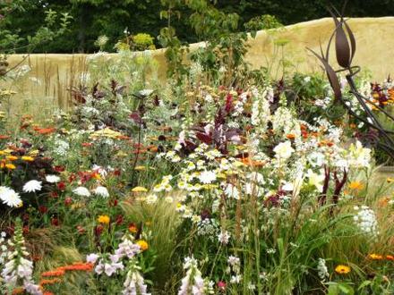 Colour Hampton Court