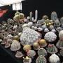 12_jul_08_019