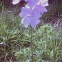 Imag0044