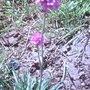 Imag0042