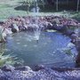 Imag0054