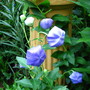 7-12-08_126