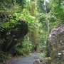 Babinda
