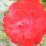 July_08_003