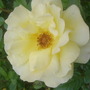 July_08_006
