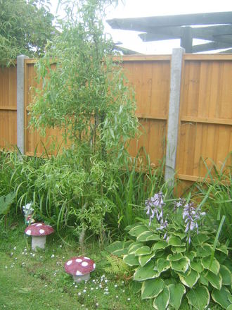 End of garden.