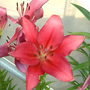 Dscf0001