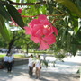 Summer_2006_206