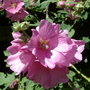 Dscf0006