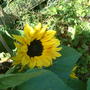 Dscf0013