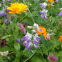 Dscf0024