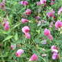 Dscf0026