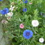 Dscf0028