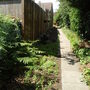 Front garden - halfway through makeover