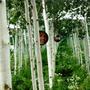 Mirror garden
