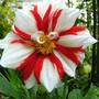 13_jul_08_001