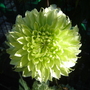 Grow_on_you_questions_004
