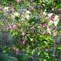 Grow_on_you_questions_006