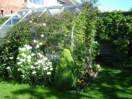 Greenhouse